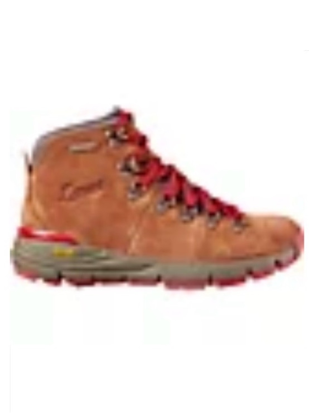Danner Hiking Boots